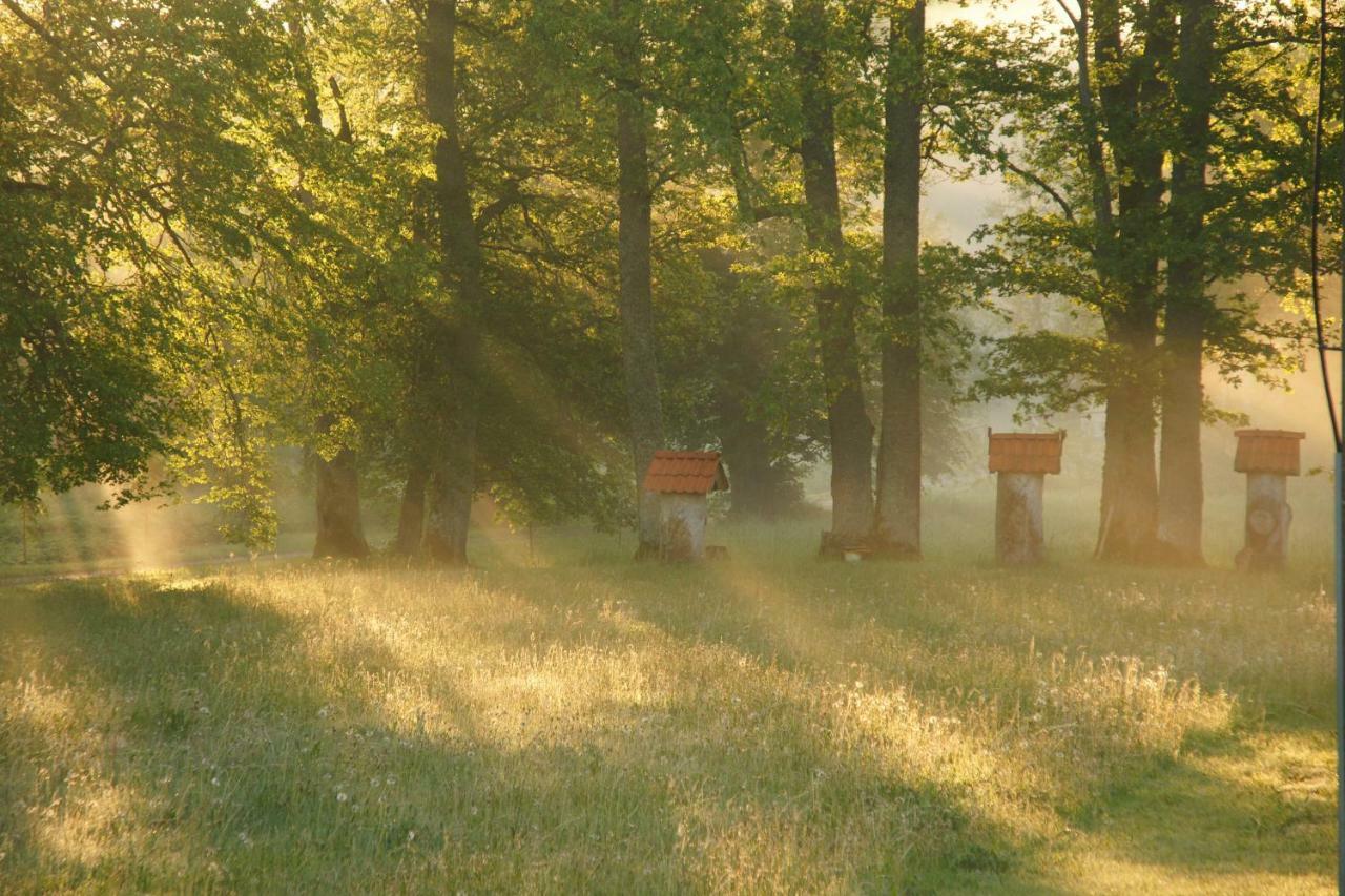 Bear Manor Lacu Muizina Lejlighed Pāle Eksteriør billede